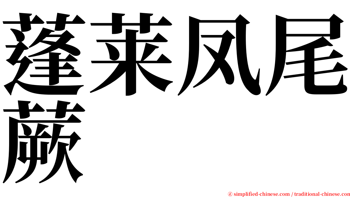 蓬莱凤尾蕨 serif font