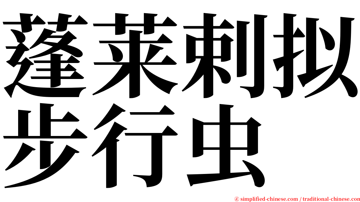 蓬莱剌拟步行虫 serif font