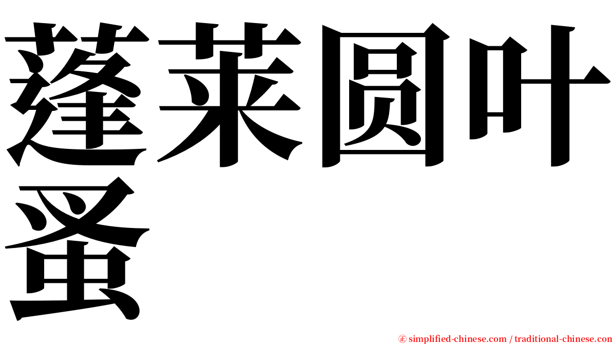 蓬莱圆叶蚤 serif font