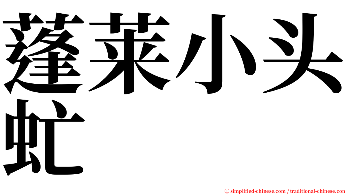 蓬莱小头虻 serif font