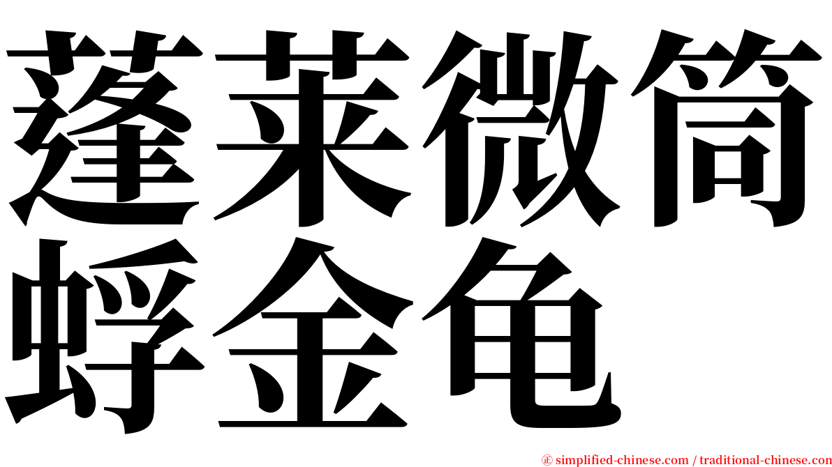 蓬莱微筒蜉金龟 serif font