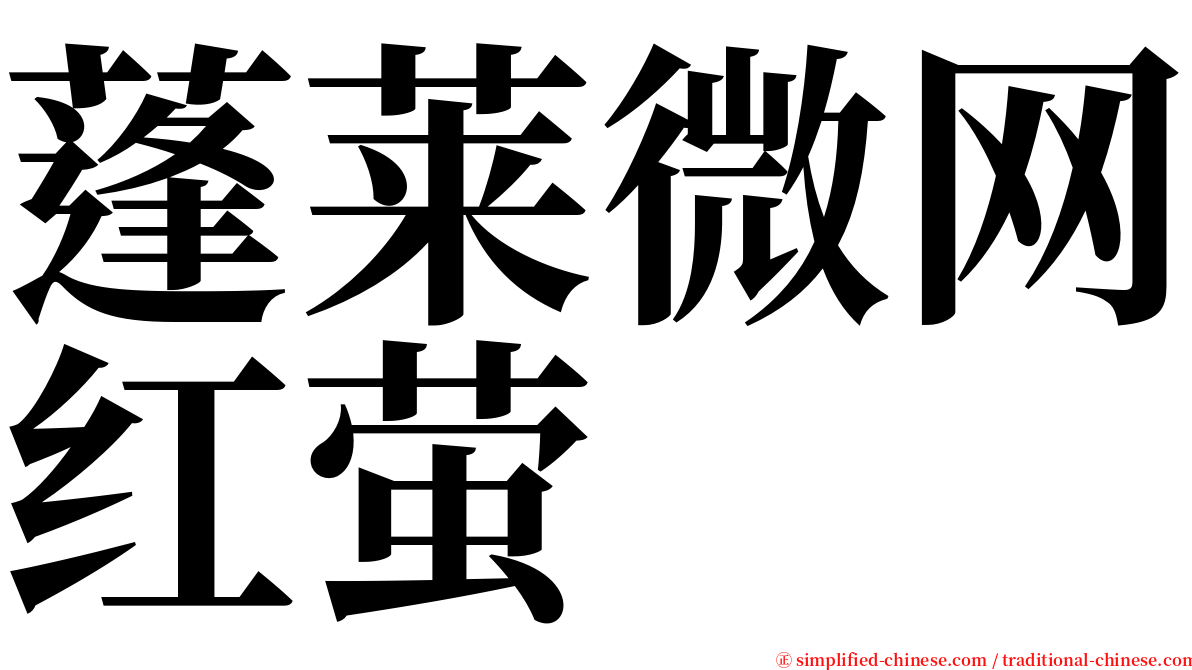 蓬莱微网红萤 serif font