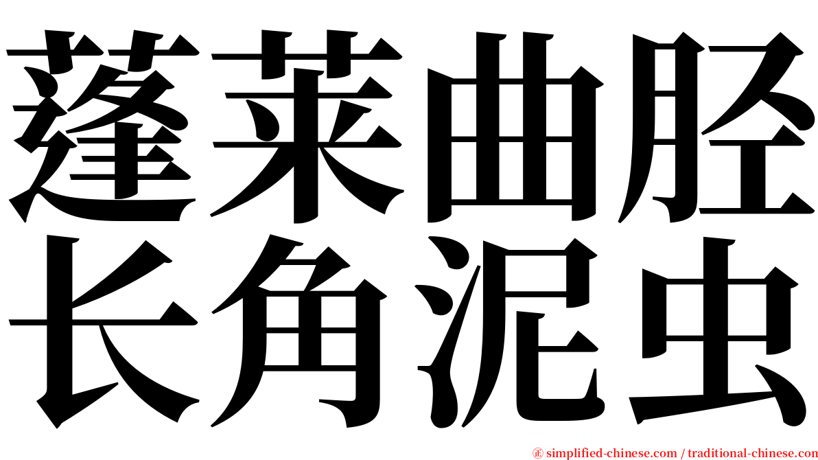 蓬莱曲胫长角泥虫 serif font