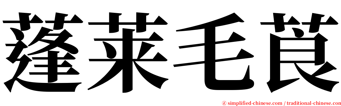 蓬莱毛莨 serif font