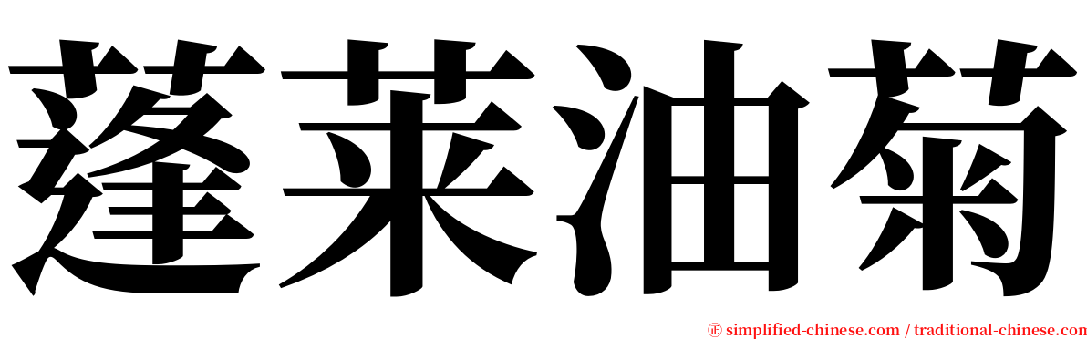 蓬莱油菊 serif font