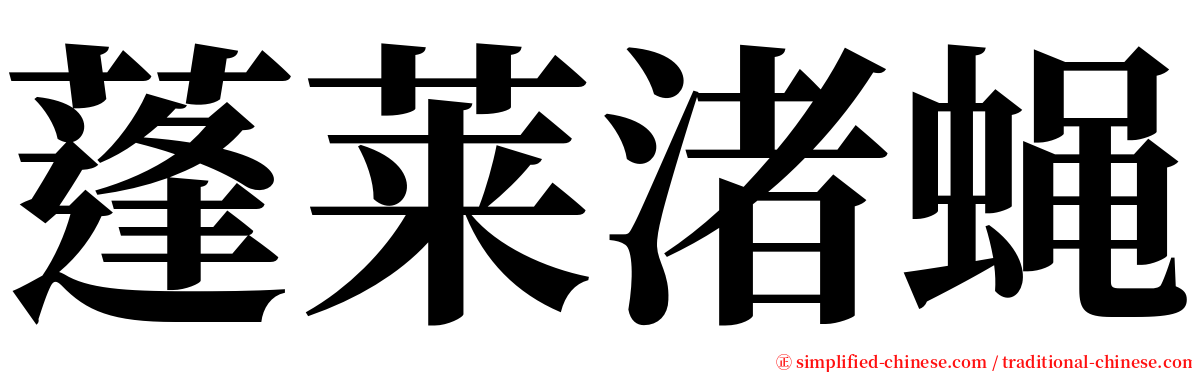 蓬莱渚蝇 serif font