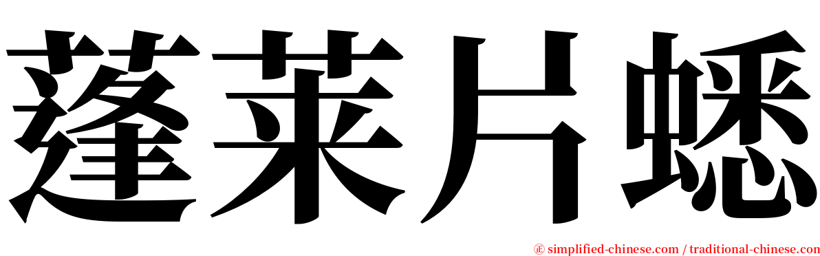 蓬莱片蟋 serif font