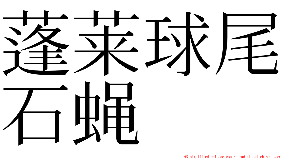 蓬莱球尾石蝇 ming font