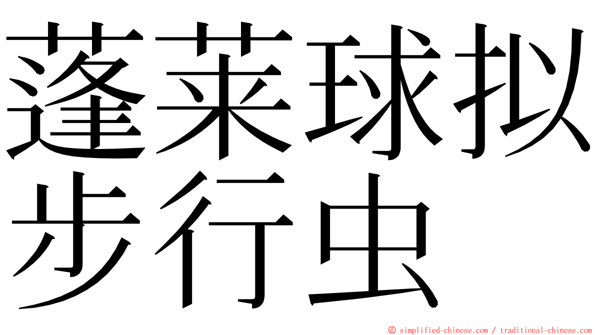 蓬莱球拟步行虫 ming font