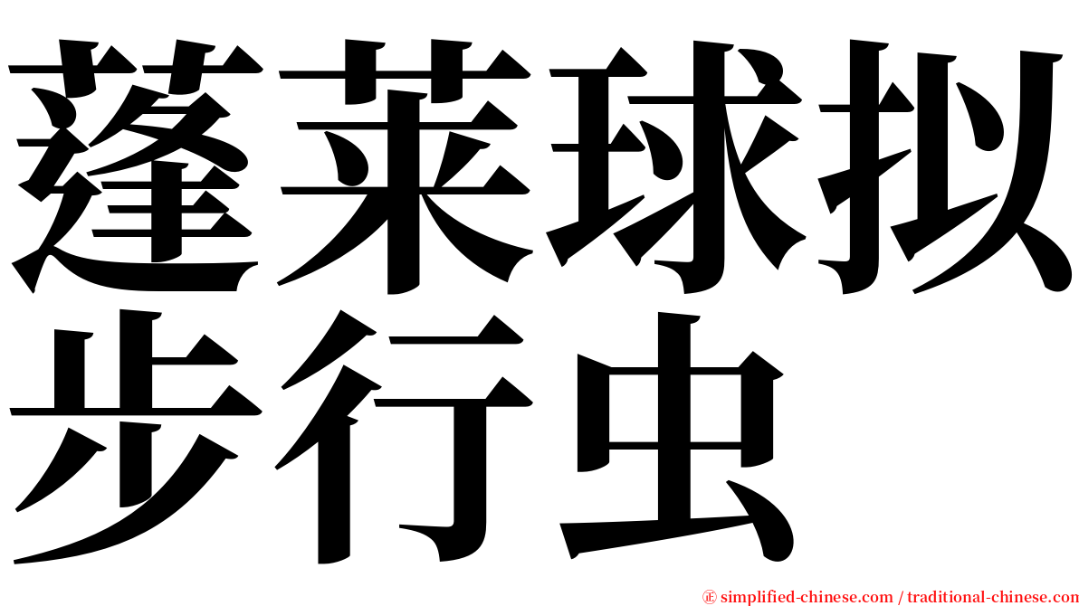 蓬莱球拟步行虫 serif font