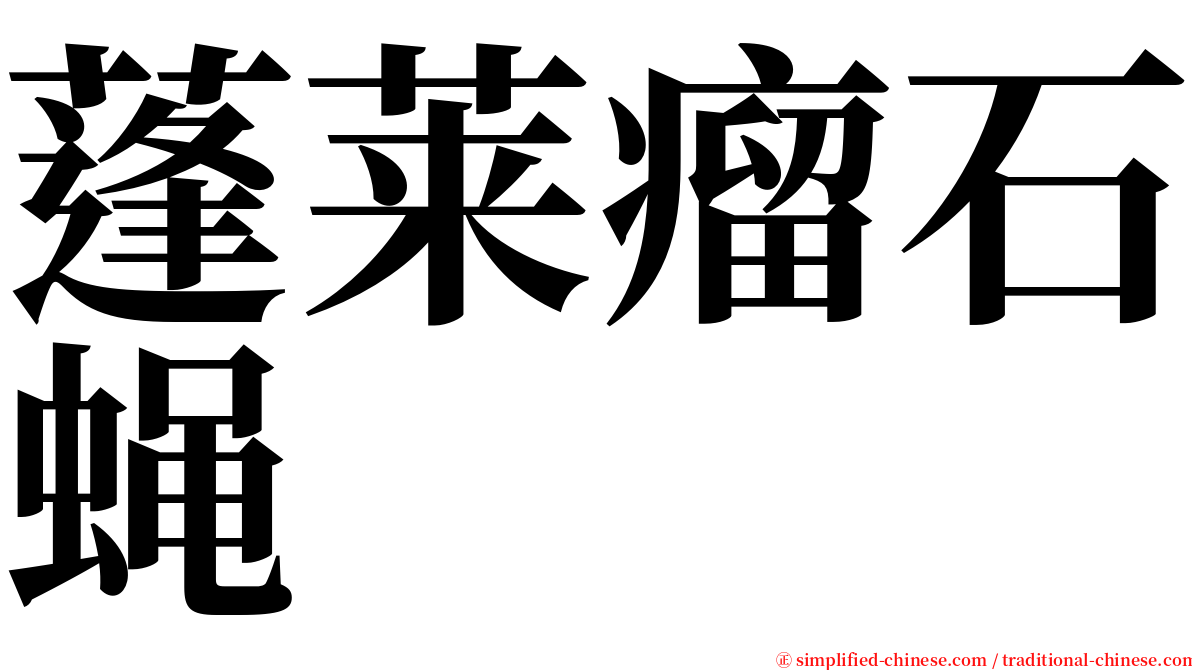 蓬莱瘤石蝇 serif font