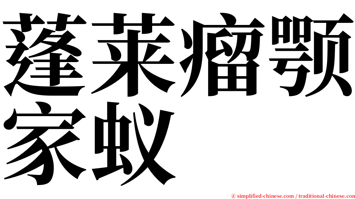 蓬莱瘤颚家蚁 serif font