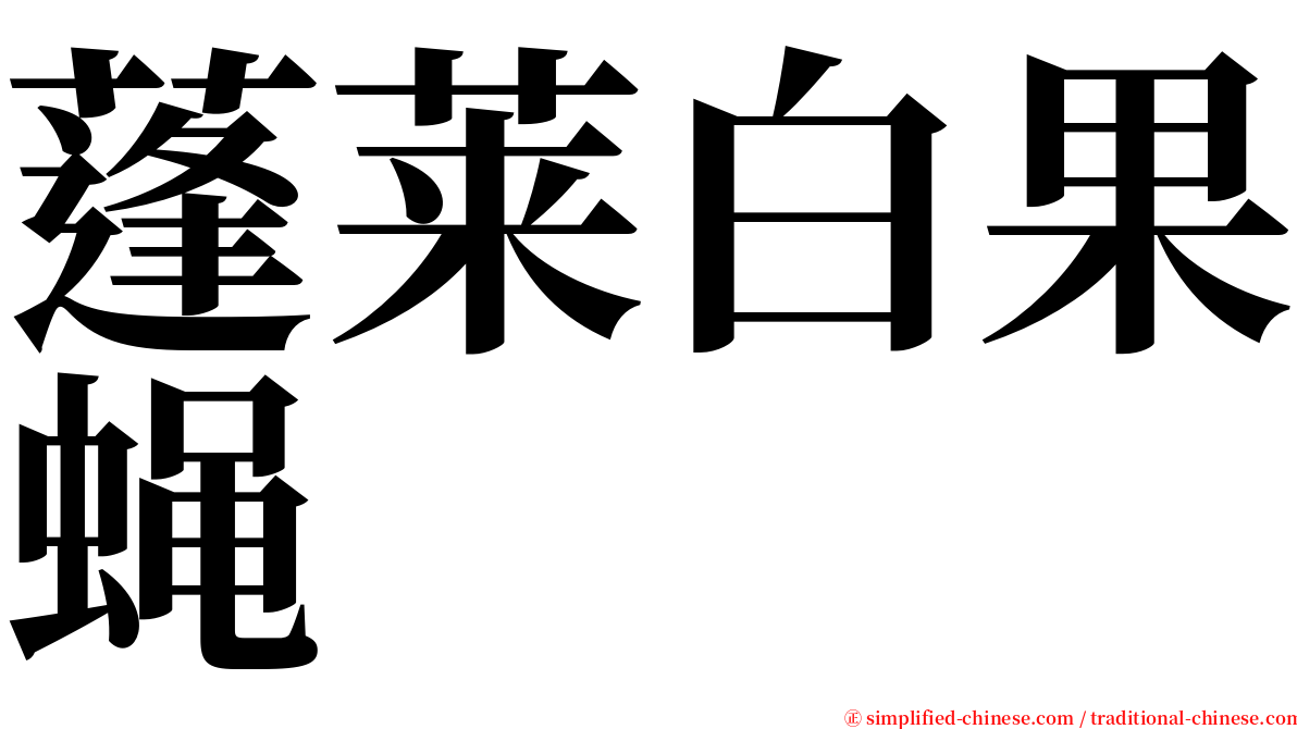 蓬莱白果蝇 serif font