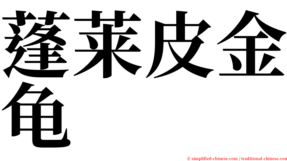 蓬莱皮金龟 serif font