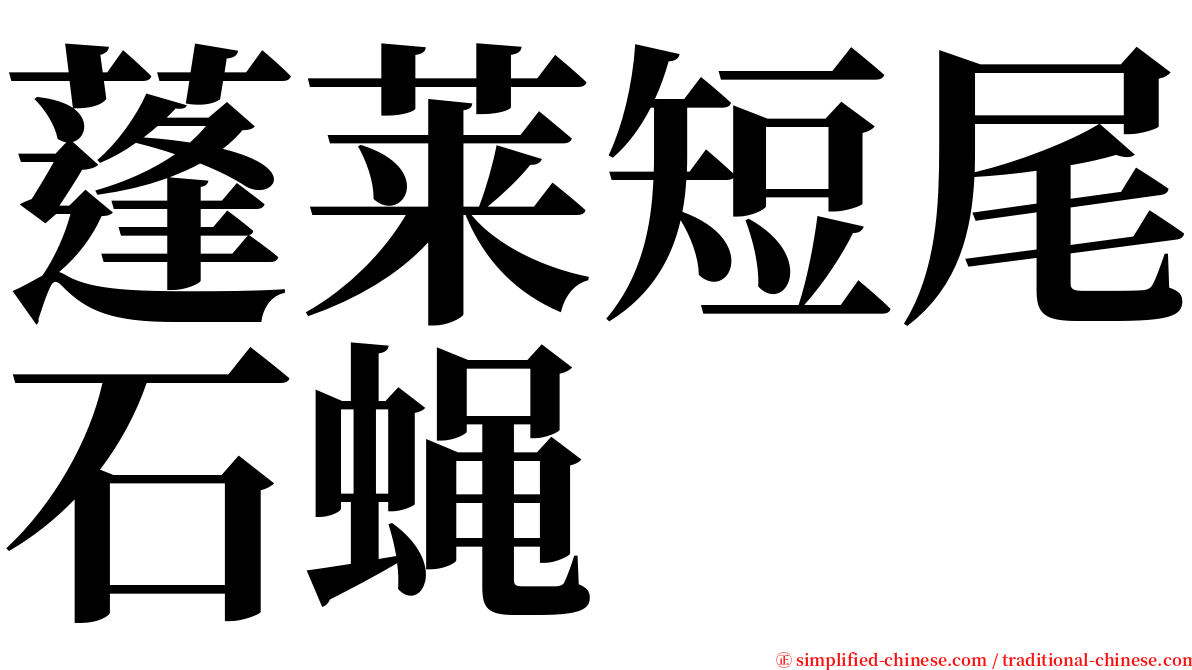 蓬莱短尾石蝇 serif font