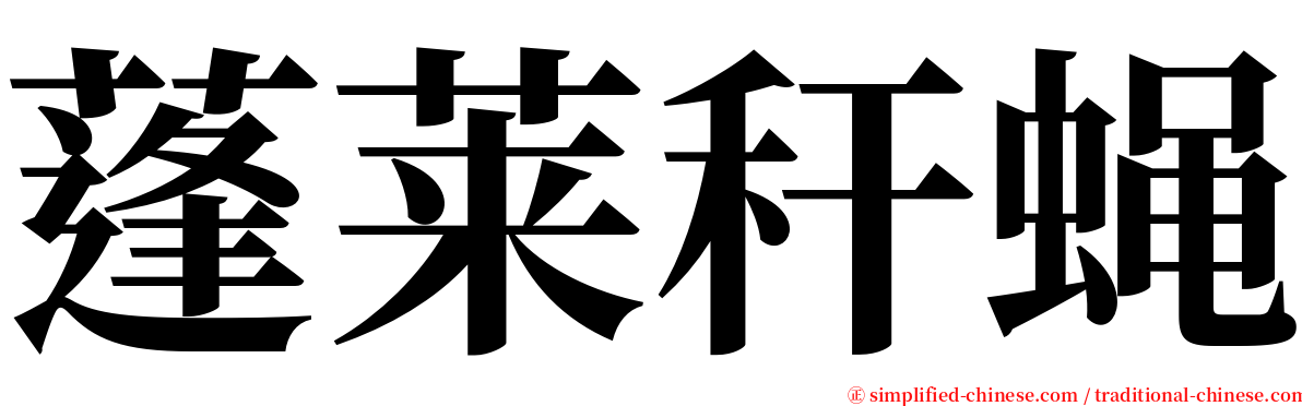 蓬莱秆蝇 serif font