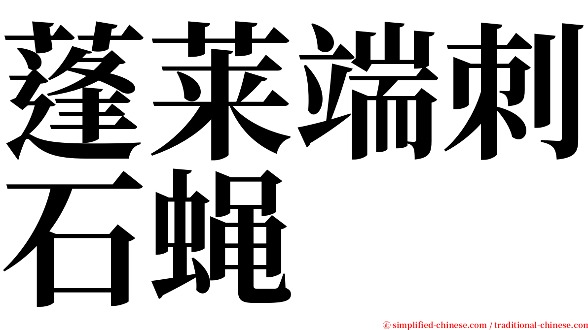 蓬莱端刺石蝇 serif font