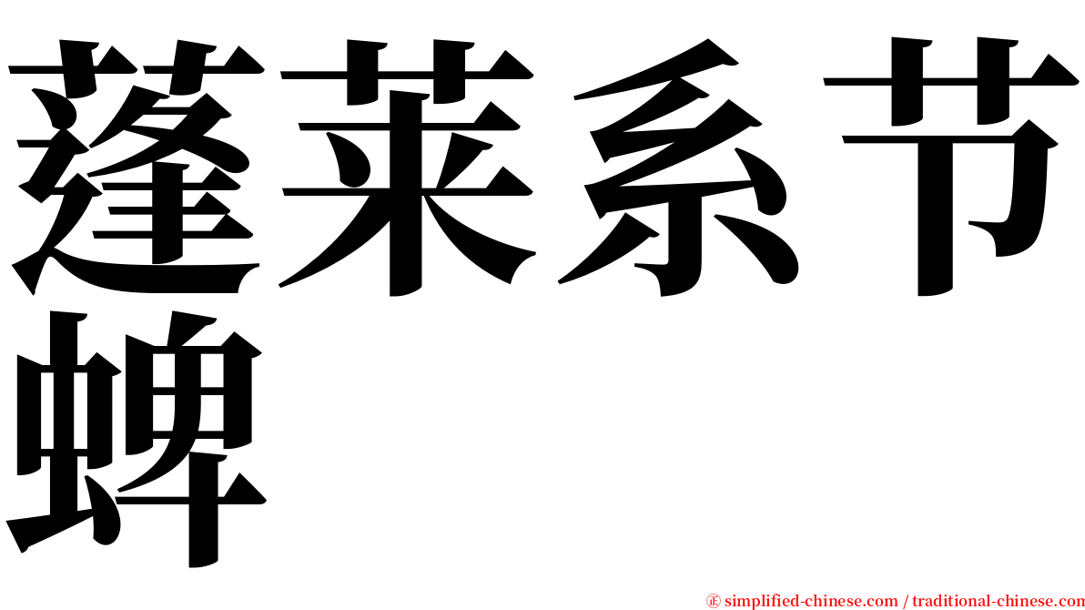 蓬莱系节蜱 serif font