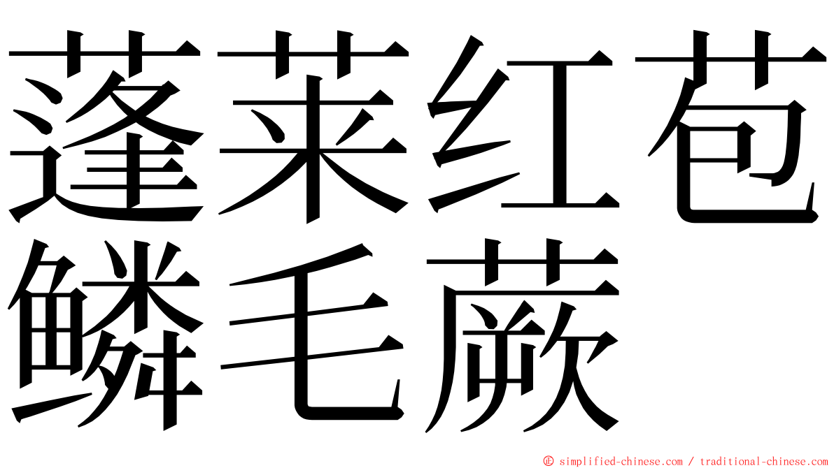 蓬莱红苞鳞毛蕨 ming font