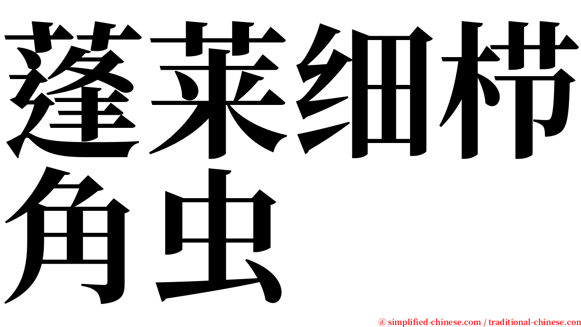 蓬莱细栉角虫 serif font