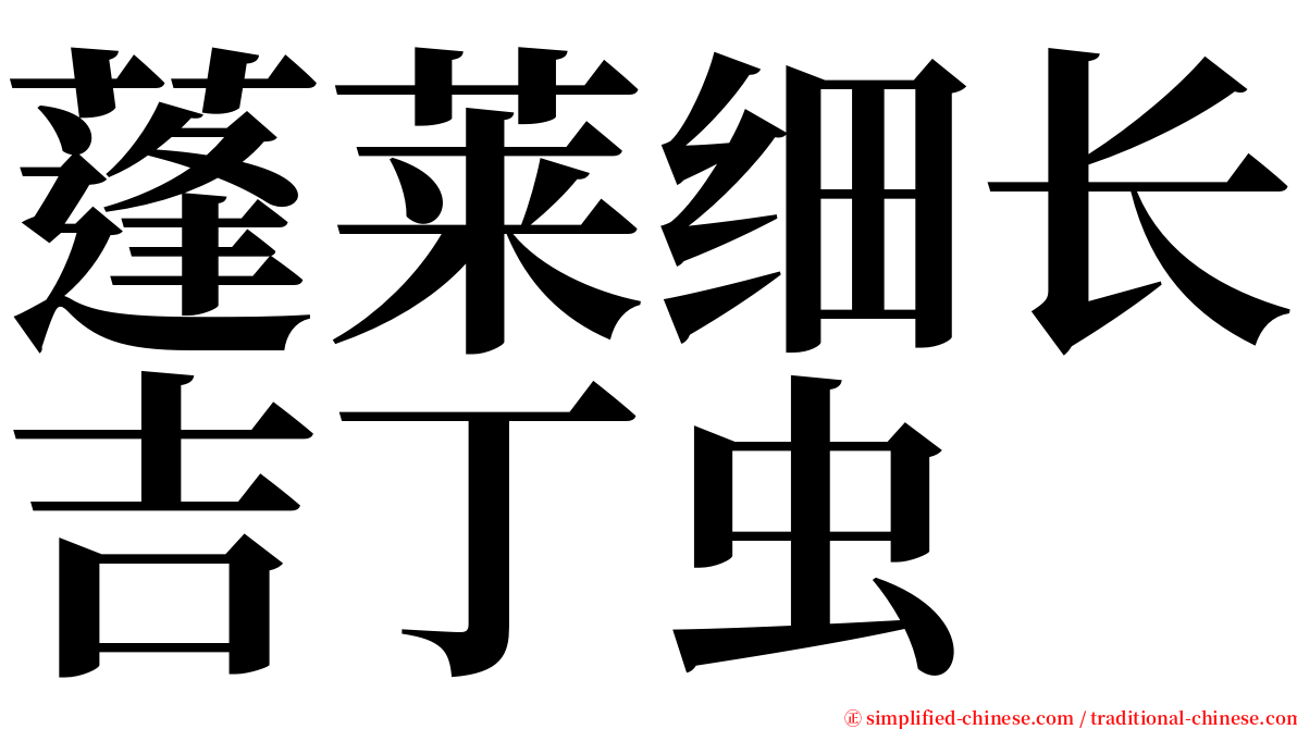 蓬莱细长吉丁虫 serif font