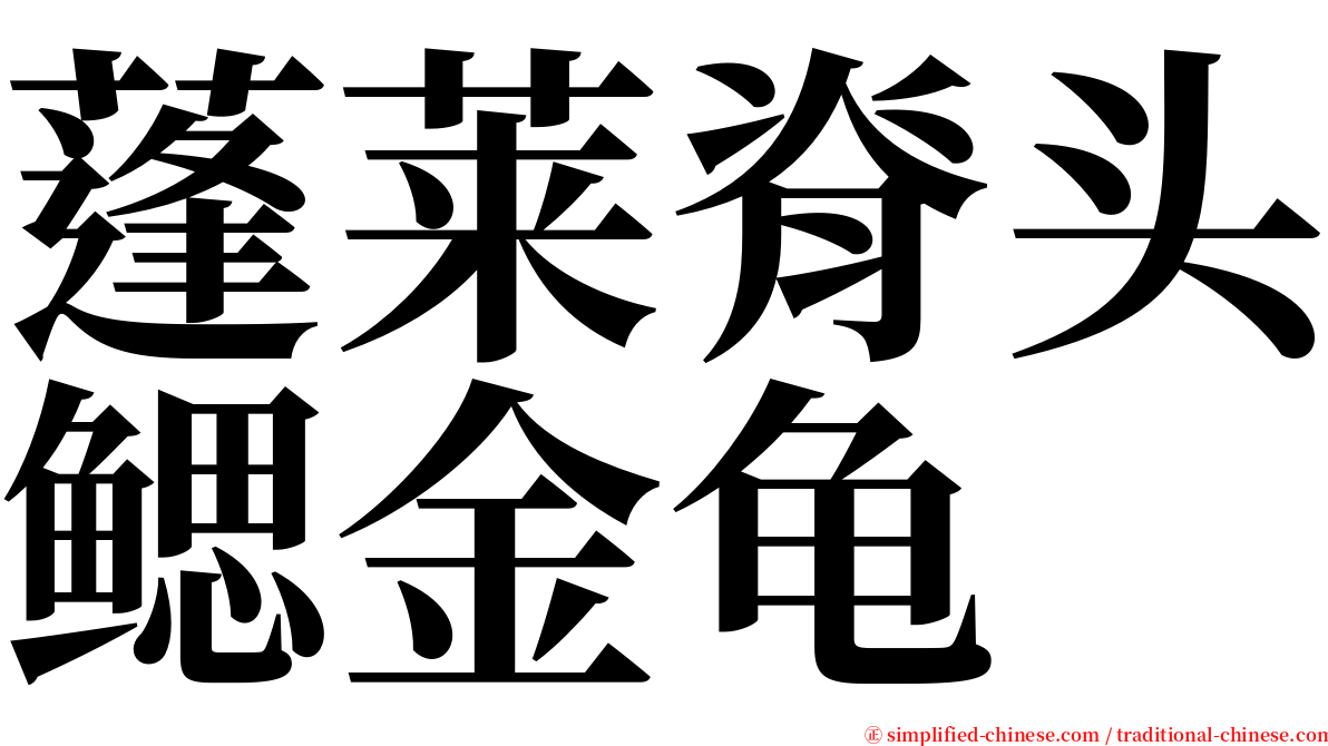 蓬莱脊头鳃金龟 serif font