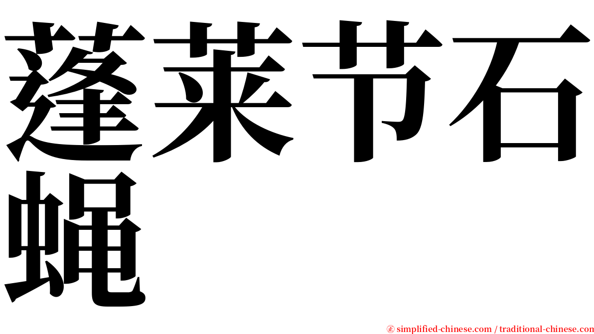 蓬莱节石蝇 serif font
