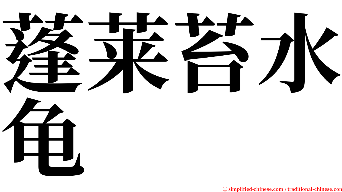 蓬莱苔水龟 serif font