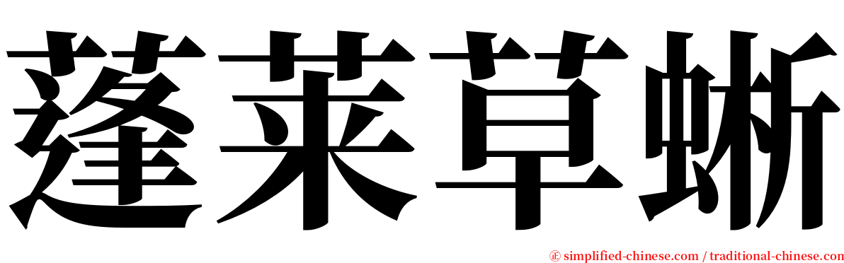 蓬莱草蜥 serif font