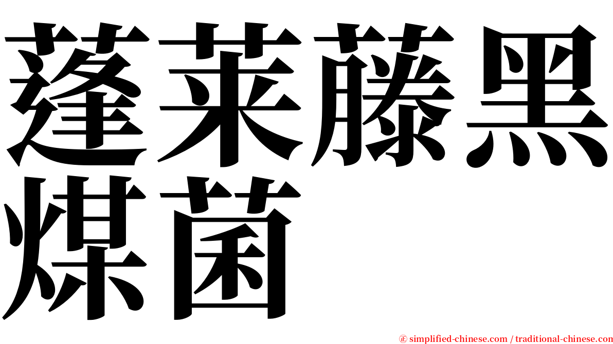 蓬莱藤黑煤菌 serif font