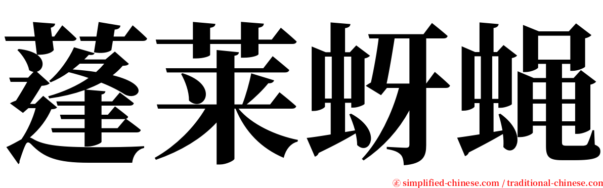 蓬莱蚜蝇 serif font