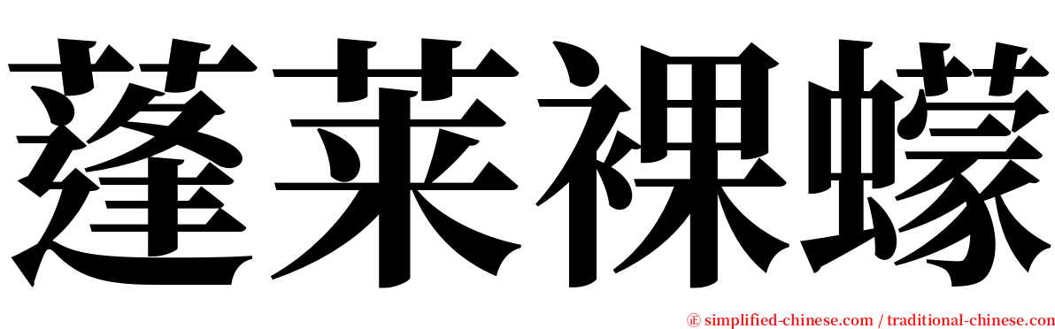 蓬莱裸蠓 serif font