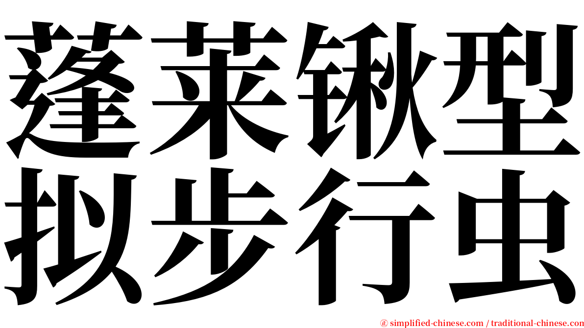 蓬莱锹型拟步行虫 serif font