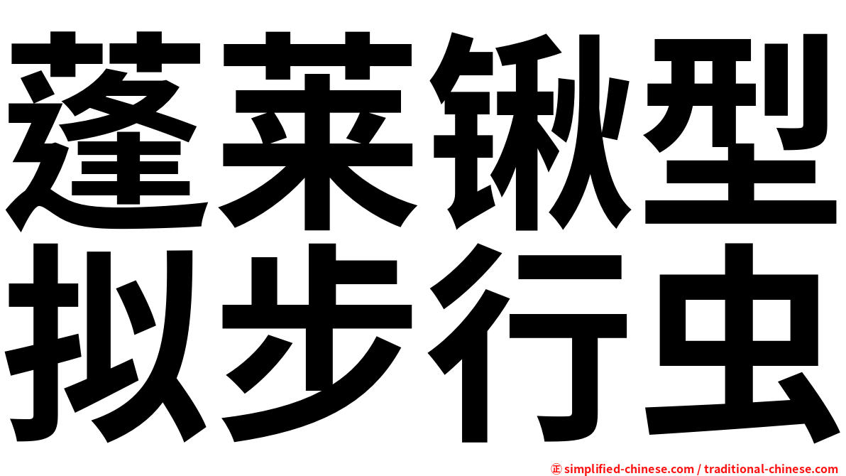 蓬莱锹型拟步行虫