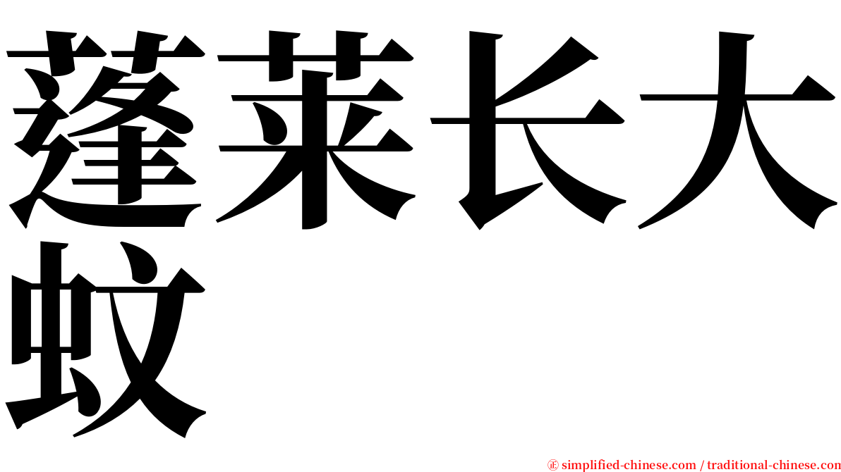 蓬莱长大蚊 serif font