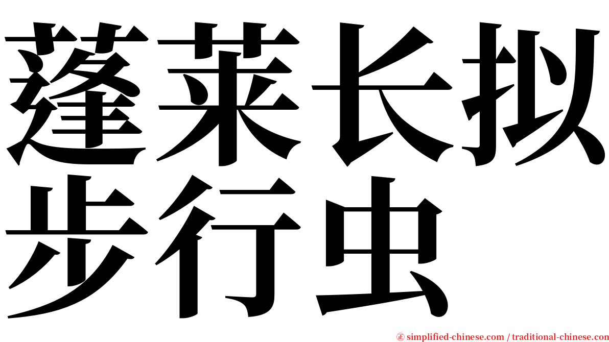 蓬莱长拟步行虫 serif font