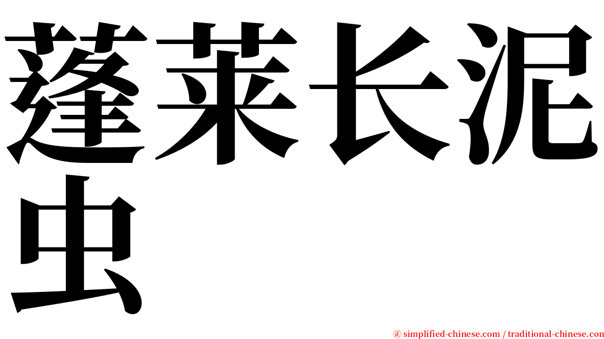 蓬莱长泥虫 serif font