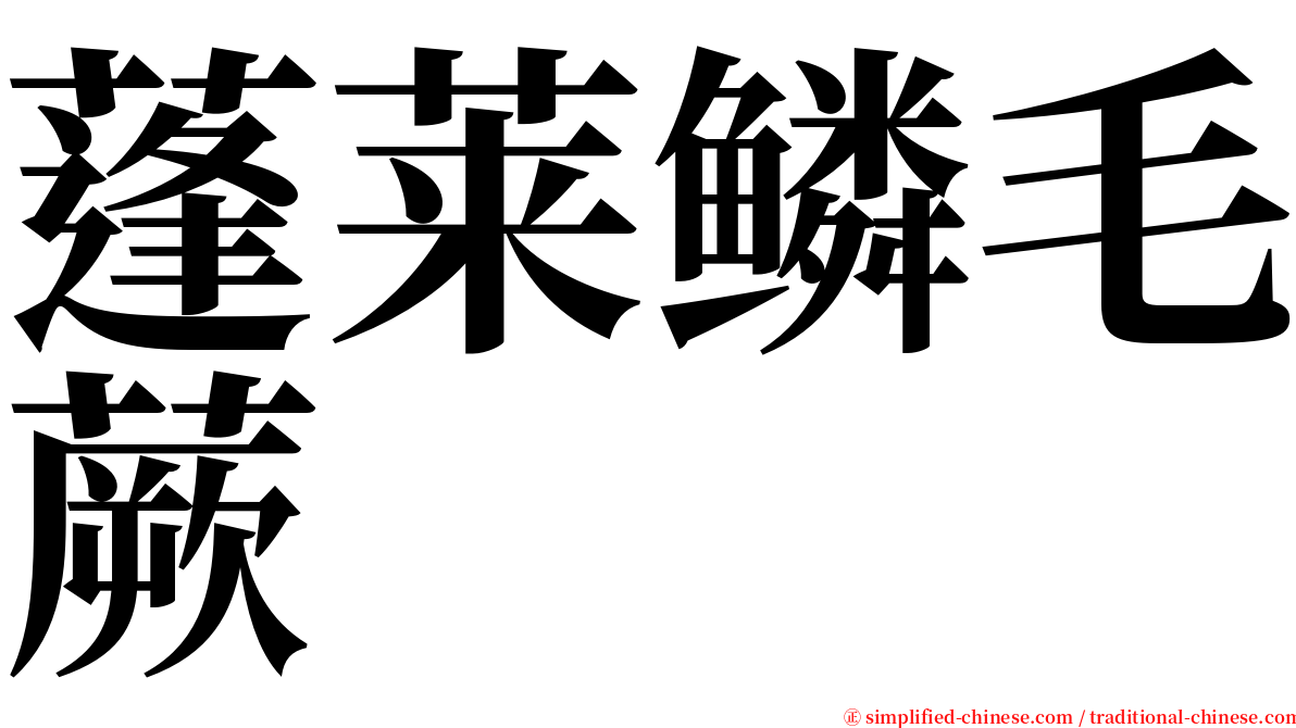 蓬莱鳞毛蕨 serif font