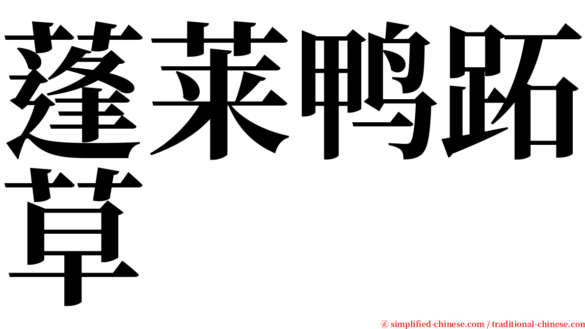 蓬莱鸭跖草 serif font