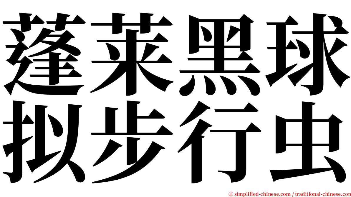 蓬莱黑球拟步行虫 serif font