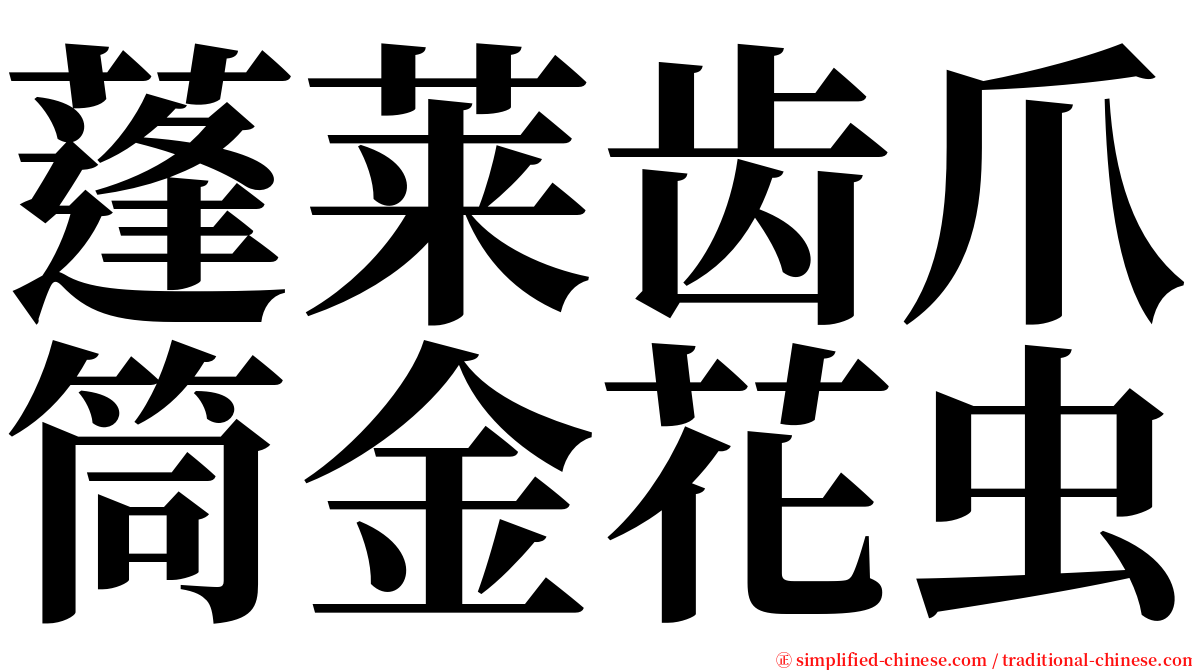 蓬莱齿爪筒金花虫 serif font