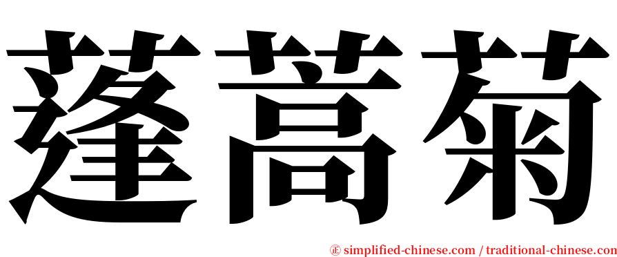 蓬蒿菊 serif font
