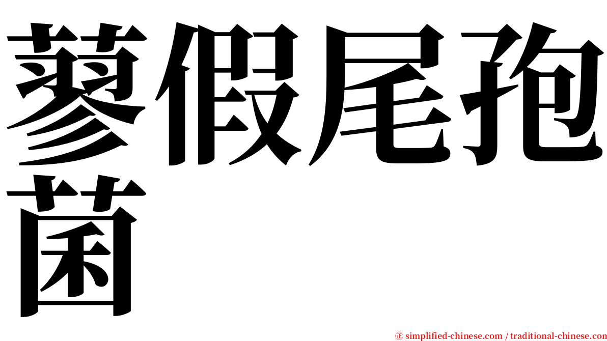 蓼假尾孢菌 serif font