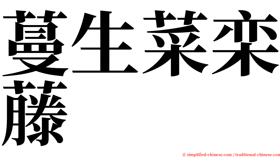 蔓生菜栾藤 serif font