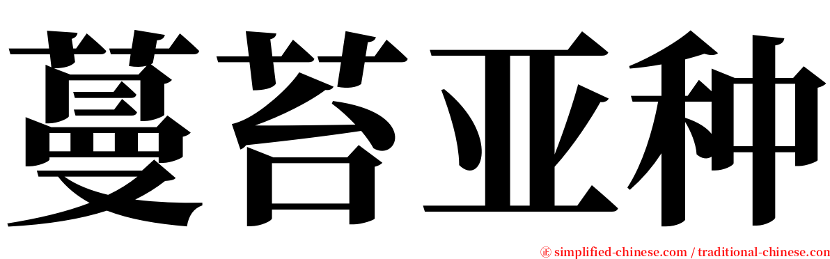 蔓苔亚种 serif font