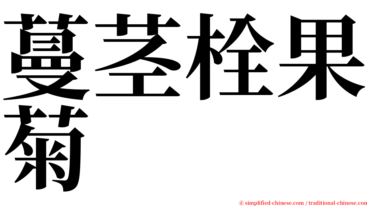 蔓茎栓果菊 serif font