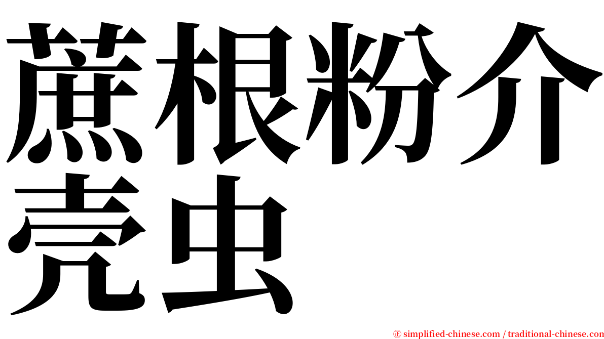 蔗根粉介壳虫 serif font