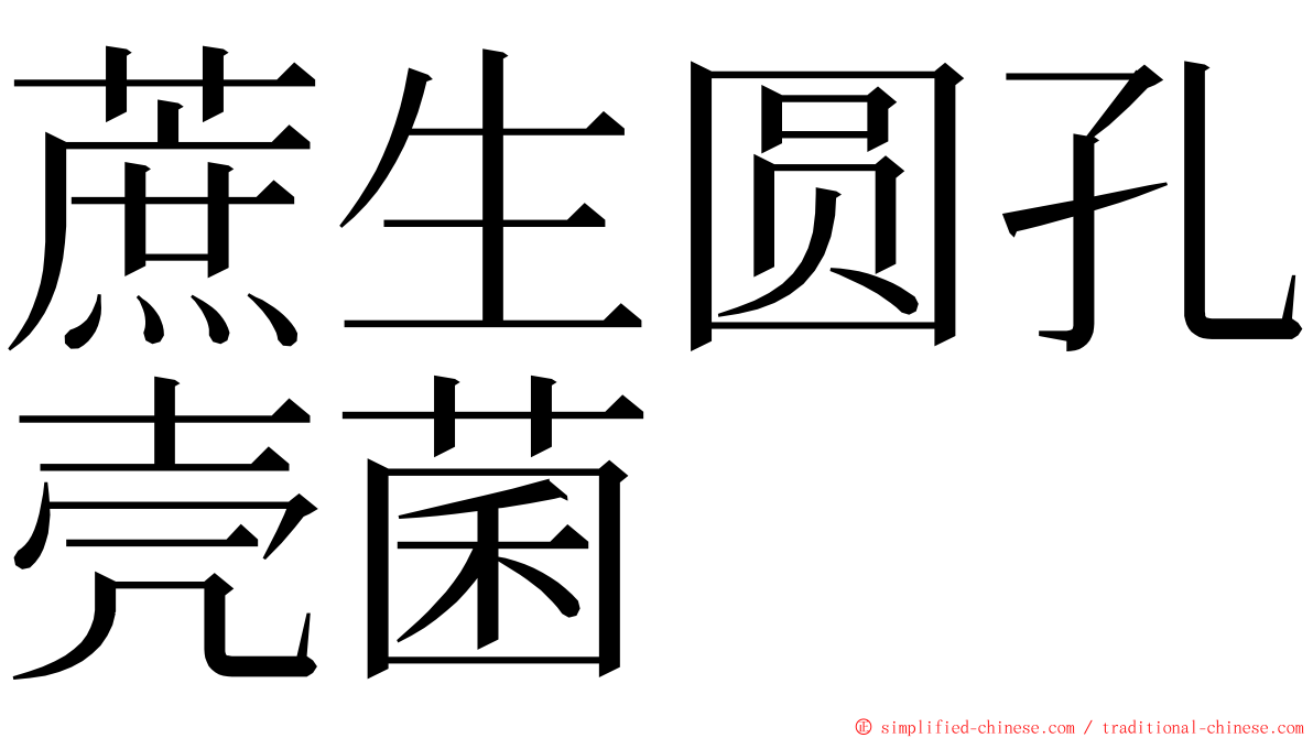 蔗生圆孔壳菌 ming font