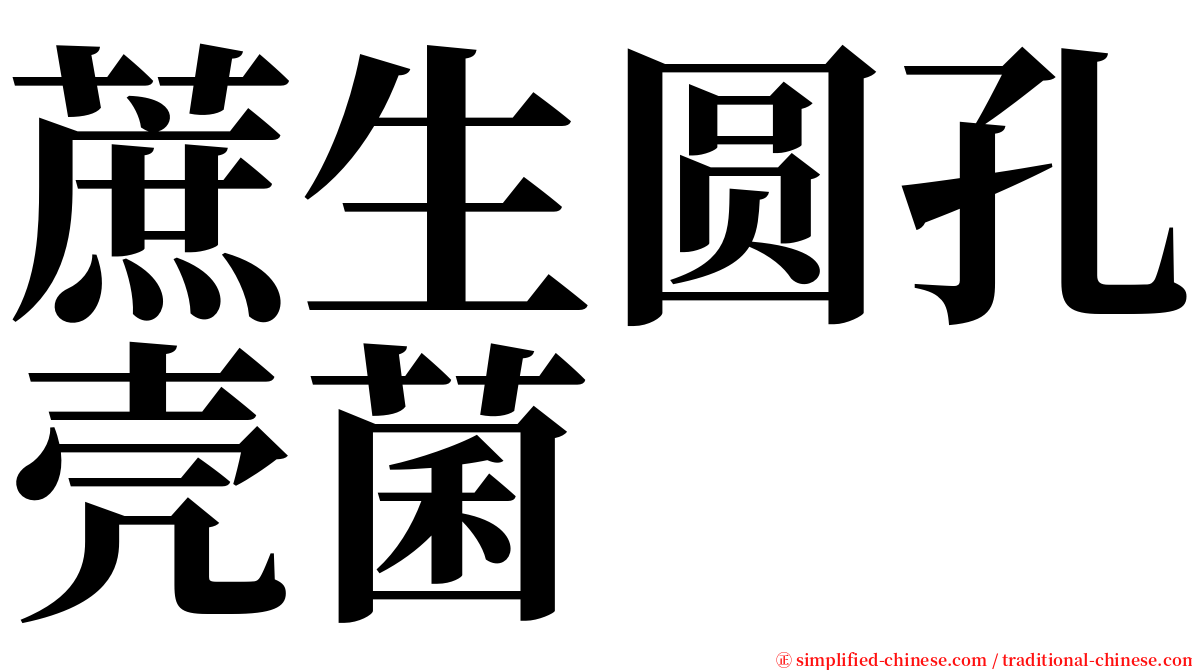 蔗生圆孔壳菌 serif font