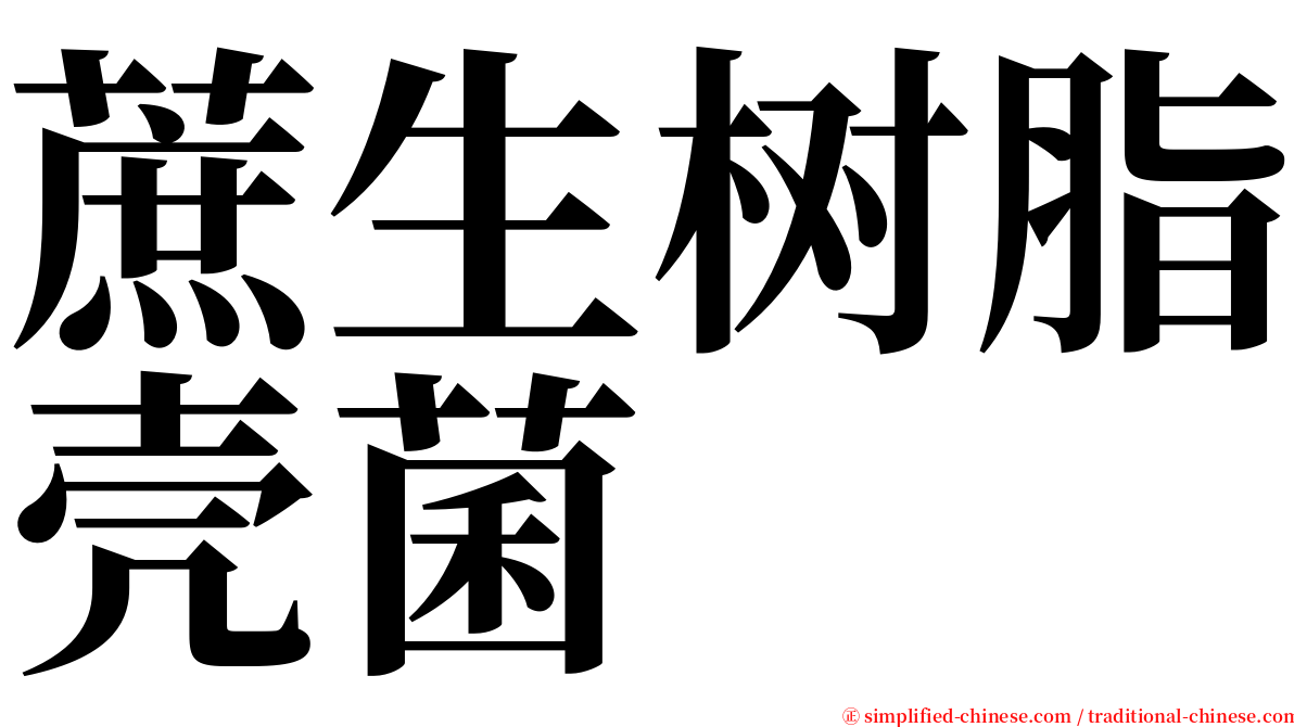 蔗生树脂壳菌 serif font